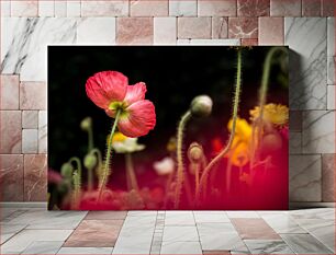 Πίνακας, Vivid Poppy Blooms Ζωντανά παπαρούνα