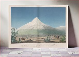 Πίνακας, Vues des Cordillères, et monumens des peuples indigènes de l'Amérique / par Al. de Humboldt