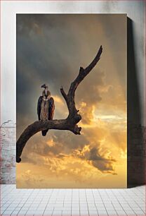 Πίνακας, Vulture at Sunset Γύπας στο ηλιοβασίλεμα