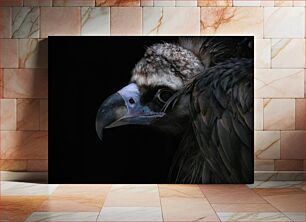 Πίνακας, Vulture in the Dark Γύπας στο σκοτάδι