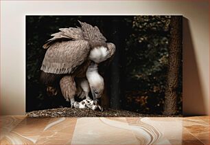 Πίνακας, Vulture with Prey Γύπας με Θήραμα