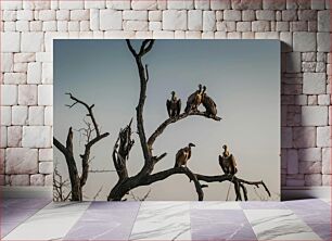 Πίνακας, Vultures on a Tree Γύπες σε ένα δέντρο