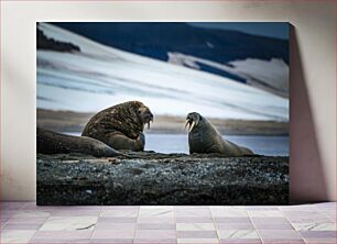 Πίνακας, Walruses in the Arctic Πεδούς στην Αρκτική