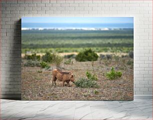 Πίνακας, Warthog in the Wild Warthog in the Wild