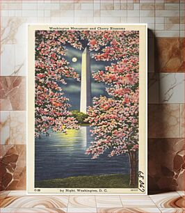Πίνακας, Washington Monument and Cherry Blossoms by night, Washington, D. C