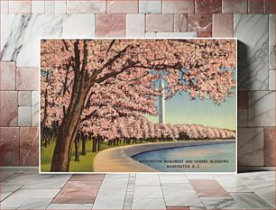 Πίνακας, Washington Monument and Cherry Blossoms, Washington, D. C