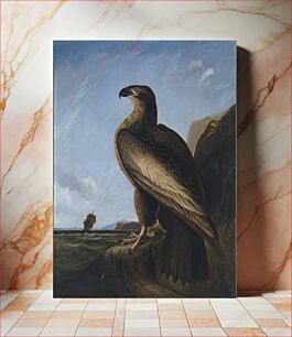 Πίνακας, Washington Sea Eagle (ca. 1836–1839) by John James Audubon