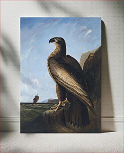 Πίνακας, Washington Sea Eagle (ca. 1836–1839) by John James Audubon