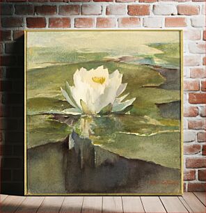 Πίνακας, Water Lily in Sunlight, John La Farge