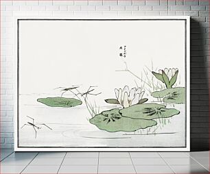 Πίνακας, Water striders on a pond illustration from Churui Gafu (1910) by Morimoto Toko