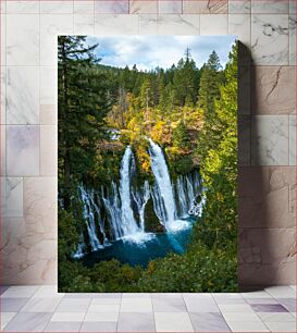 Πίνακας, Waterfall in a Forest Καταρράκτης σε Δάσος