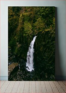 Πίνακας, Waterfall in a Lush Forest Καταρράκτης σε ένα καταπράσινο δάσος