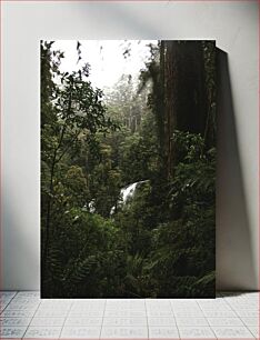 Πίνακας, Waterfall in Lush Forest Καταρράκτης στο Καταπράσινο Δάσος