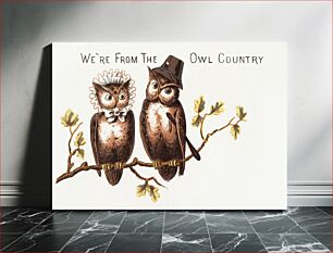 Πίνακας, We're from the owl country (1882) chromolithograph art