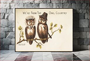 Πίνακας, We're from the owl country