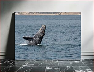 Πίνακας, Whale Breaching in the Ocean Παραβίαση φαλαινών στον ωκεανό