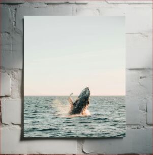 Πίνακας, Whale Breaching the Surface Φάλαινα που παραβιάζει την επιφάνεια