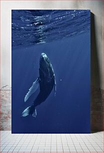 Πίνακας, Whale in the Deep Blue Sea Φάλαινα στη Βαθύ Γαλάζια Θάλασσα