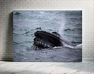 Πίνακας, Whale in the Ocean Φάλαινα στον Ωκεανό