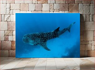 Πίνακας, Whale Shark in the Deep Blue Sea Καρχαρίας Φάλαινας στη Βαθύ Γαλάζια Θάλασσα