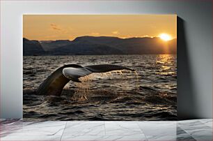 Πίνακας, Whale Tail at Sunset Ουρά φάλαινας στο ηλιοβασίλεμα