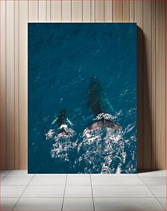 Πίνακας, Whales in the Ocean Φάλαινες στον Ωκεανό