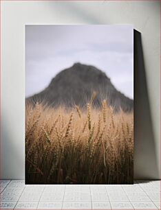 Πίνακας, Wheat Field in Front of Distant Mountain Σιταροχώραφος μπροστά από το μακρινό βουνό
