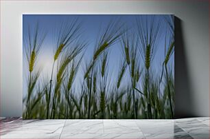 Πίνακας, Wheat Field Σιτάρι