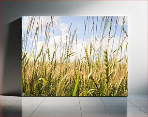 Πίνακας, Wheat Field Under Blue Sky Σιτάρι κάτω από το γαλάζιο του ουρανού
