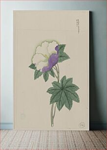 Πίνακας, [White and purple flower on stem with green leaves]