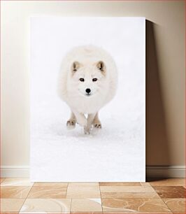 Πίνακας, White Arctic Fox in Snow Λευκή Αρκτική Αλεπού στο χιόνι