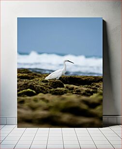 Πίνακας, White Bird by the Sea White Bird by the Sea