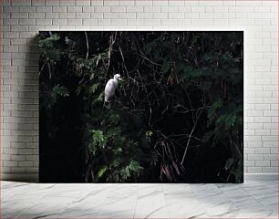 Πίνακας, White Bird in Dense Foliage Λευκό πουλί σε πυκνό φύλλωμα