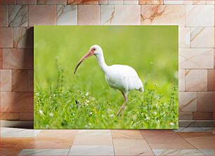 Πίνακας, White Bird in Green Field Λευκό Πουλί στο Πράσινο Πεδίο