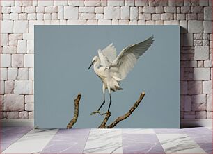 Πίνακας, White Bird Perching on a Branch Λευκό πουλί που κουρνιάζει σε ένα κλαδί