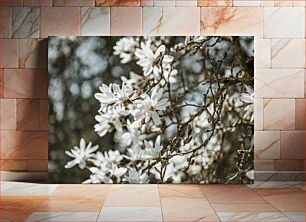 Πίνακας, White Blossoms in Spring Λευκά Άνθη την Άνοιξη