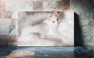 Πίνακας, White Cat on Fur Λευκή Γάτα στη Γούνα