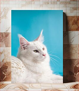 Πίνακας, White Cat with Blue Background Λευκή γάτα με μπλε φόντο