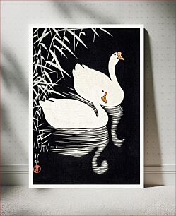 Πίνακας, White Chinese Geese Swimming by Reeds by (1928) Ohara Koson