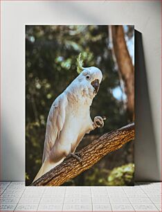 Πίνακας, White Cockatoo Parrot on Branch Λευκός Παπαγάλος Cockatoo στο κλαδί