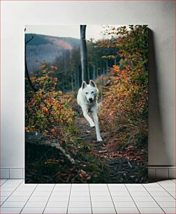 Πίνακας, White Dog in Forest Λευκό σκυλί στο δάσος