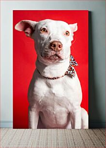 Πίνακας, White Dog on Red Background Λευκό σκυλί σε κόκκινο φόντο