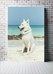 Πίνακας, White Dog on Sandy Beach Λευκό σκυλί στην αμμώδη παραλία