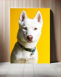 Πίνακας, White Dog on Yellow Background Λευκό σκυλί σε κίτρινο φόντο