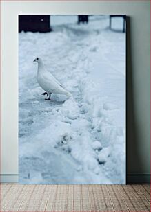 Πίνακας, White Dove in Snow Λευκό Περιστέρι στο χιόνι