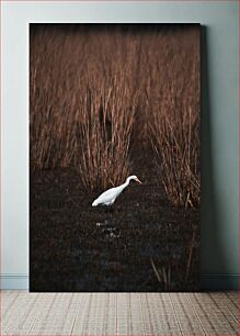 Πίνακας, White Egret in a Marsh Λευκός Τσικνιάς σε έλος