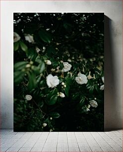 Πίνακας, White Flowers Among Green Leaves Λευκά λουλούδια ανάμεσα σε πράσινα φύλλα