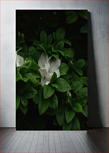 Πίνακας, White Flowers Among Green Leaves Λευκά λουλούδια ανάμεσα σε πράσινα φύλλα