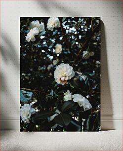 Πίνακας, White Flowers in a Forest Λευκά λουλούδια σε ένα δάσος
