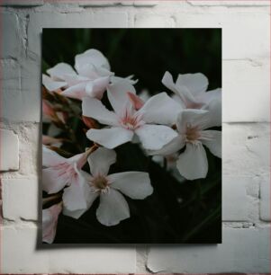Πίνακας, White Flowers in Bloom Λευκά λουλούδια στην άνθιση